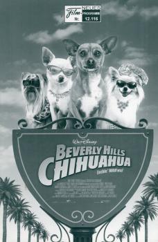 12116 - Beverly Hills Chihuahua