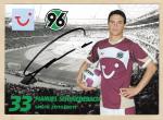 Schmiedebach, Manuel - Hannover 96 (2010/11)